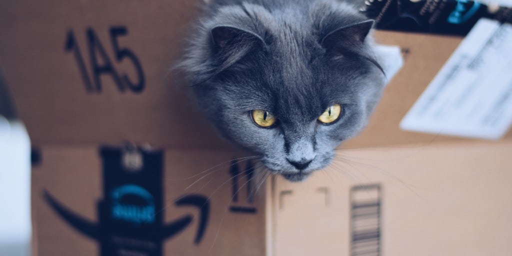 5 Amazon Updates You Need to Know