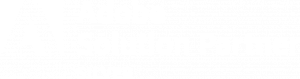 Adobe Solution Partner Silver Badge